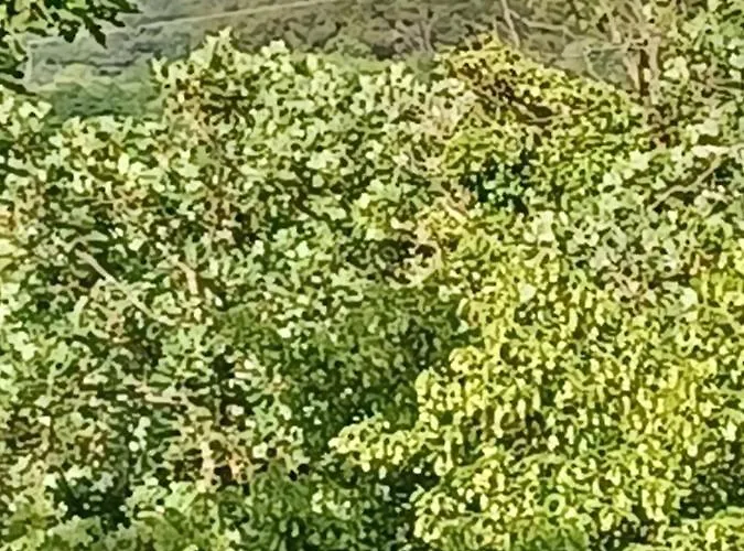 Gostinjska kuća Lovely Piantade Vrvari